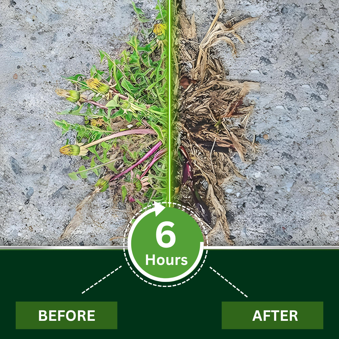 🌟 Official Store |🌿Hot Sale - 50% OFF🔥 2-in-1 Maximum Power HerbicideWipe Out Weeds in 6 Hours