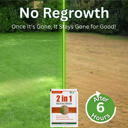 🌟 Official Store |🌿Hot Sale - 50% OFF🔥 2-in-1 Maximum Power HerbicideWipe Out Weeds in 6 Hours