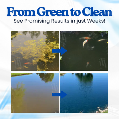 🔥Hot Sale - 50% OFF🌿Aqua-Guardian™ Pro Eco Water Purifier | 4-Hour Fast Clear & 6-Month Maintenance-Free